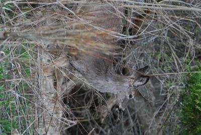 DSC_0228.JPG