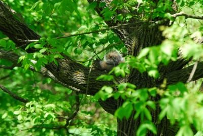 DSC_0468.JPG