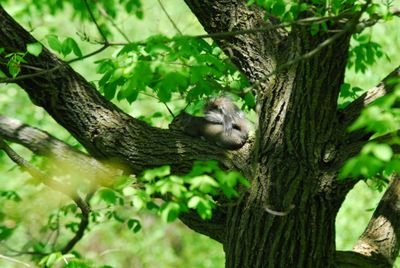 DSC_0469.JPG
