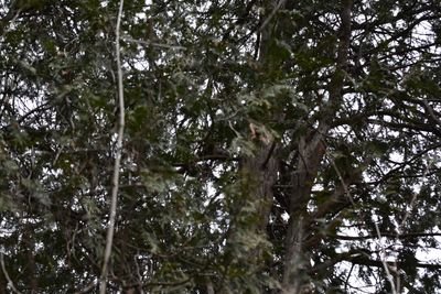 DSC_3160.JPG