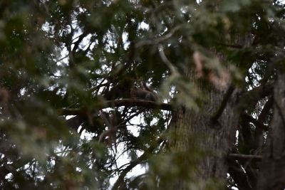 DSC_3161.JPG