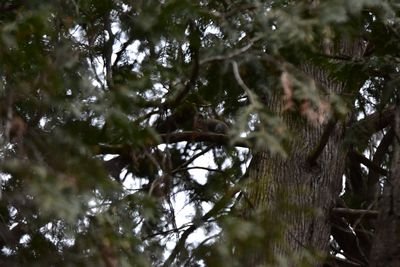 DSC_3162.JPG