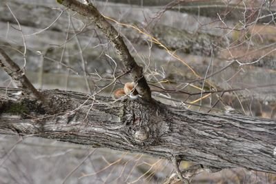 DSC_3246.JPG
