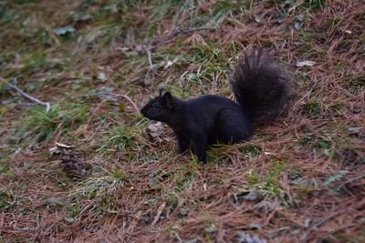 DSC_3256.JPG