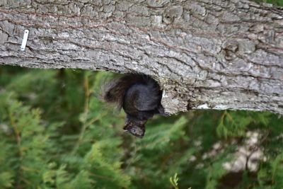 DSC_3264.JPG